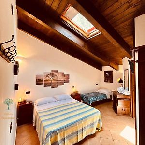 Chambre de Base Lit King-Size